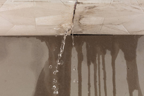 Professional Structural Drying technician working in Monmouth, IL